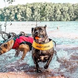 EZYDOG PLÁVACIA VESTA DFD X2 Boost letak 2