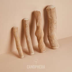 Canophera kávovníkové drevo – žuvacia hračka pre psov 3