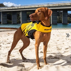 EZYDOG PLÁVACIA VESTA DFD X2 Boost Yelow dog 2