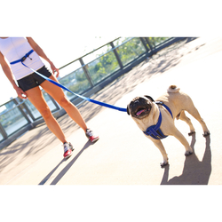 EZYDOG VODÍTKO ROAD RUNNER LEASH™ - RED