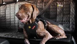 EZYDOG POSTROJ DRIVE CAR HARNESS™ dog 6