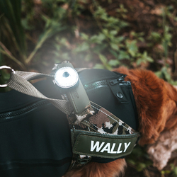 EZYDOG Svietidlo pre psa Go-2 Dog Lights Multi2