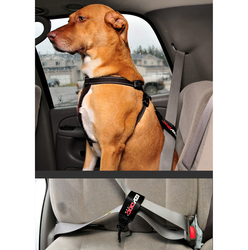 EZYDOG CAR RESTRAINT Bezpečnostný pás pre psa do auta dog