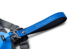 TAILHIGH HYBRIDNÝ POSTROJ PRE PSA - modrý 10