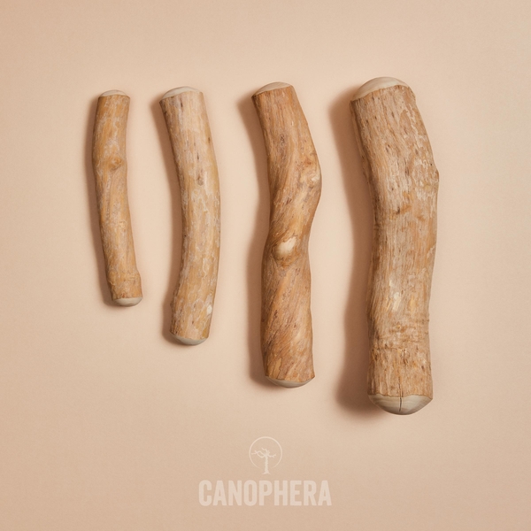 Canophera kávovníkové drevo – žuvacia hračka pre psov 5