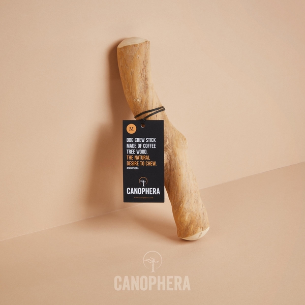 Canophera kávovníkové drevo – žuvacia hračka pre psov 7