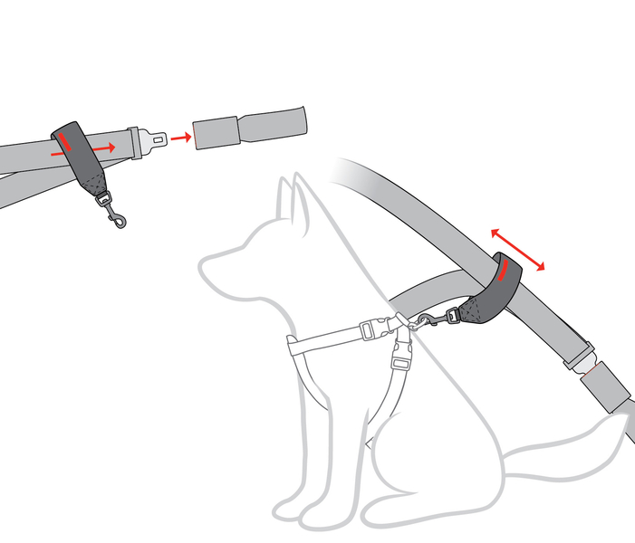 EZYDOG CAR RESTRAINT Bezpečnostný pás pre psa do auta diagram